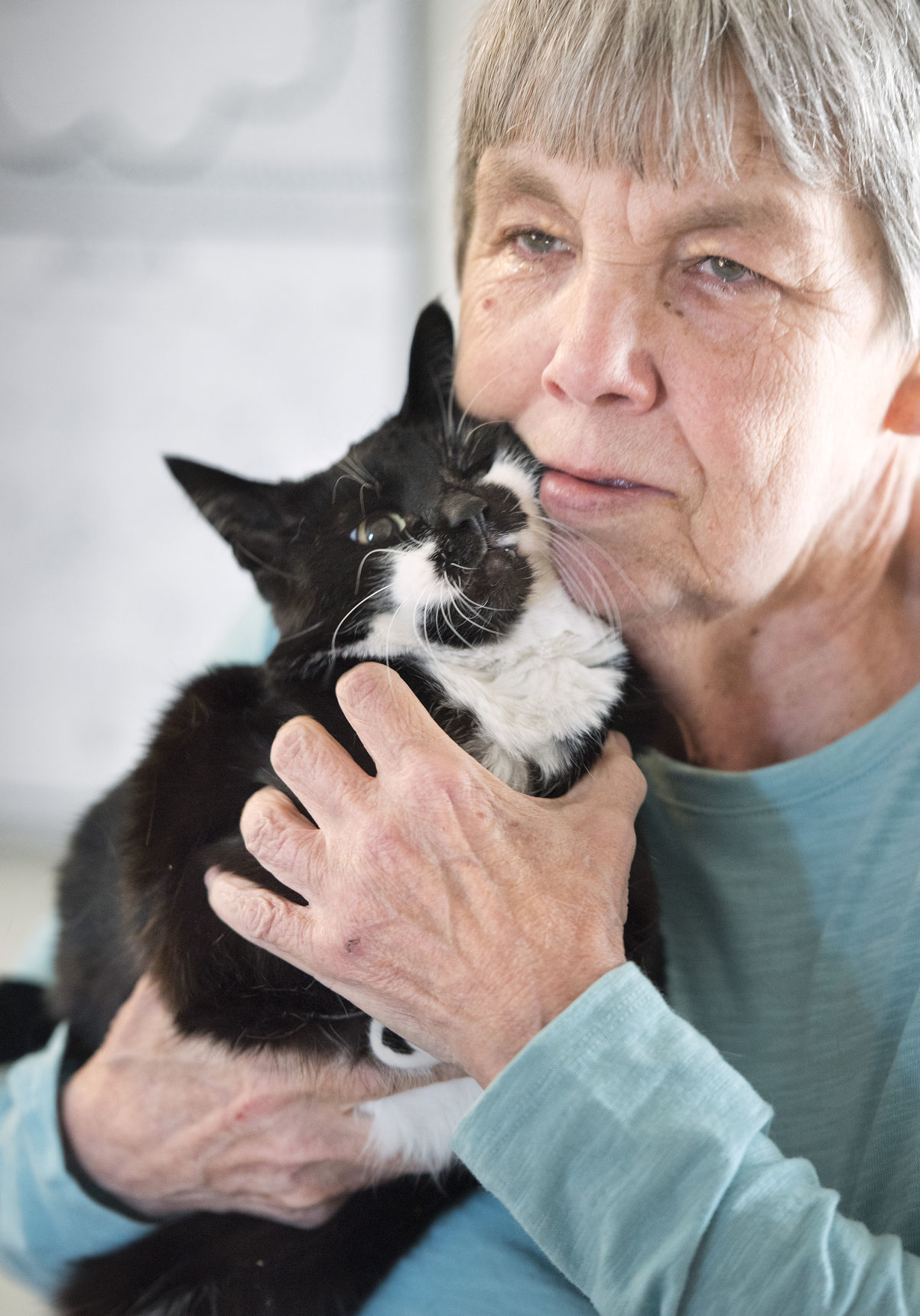 Declining health and pets